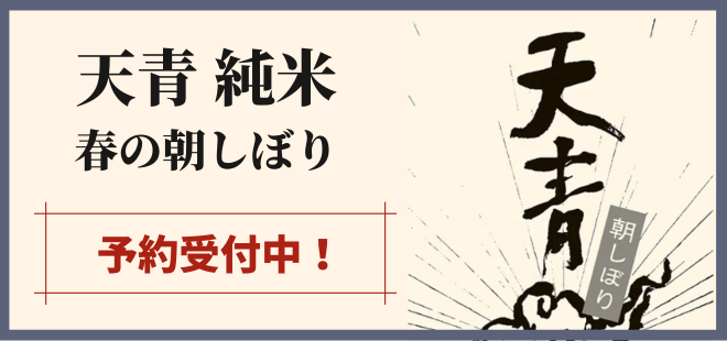 天青 純米 春の朝しぼり